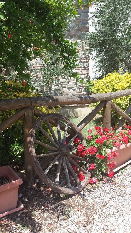 Agriturismo Le Baccane Vinci Exterior foto